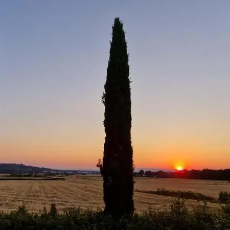 Il Canneto Casole d'Elsa